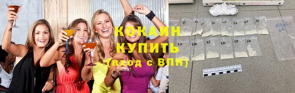 mdpv Богородск