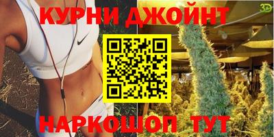 стаф Будённовск