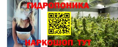 стаф Будённовск