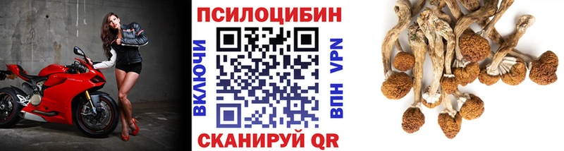 Псилоцибиновые грибы Cubensis  Реж 